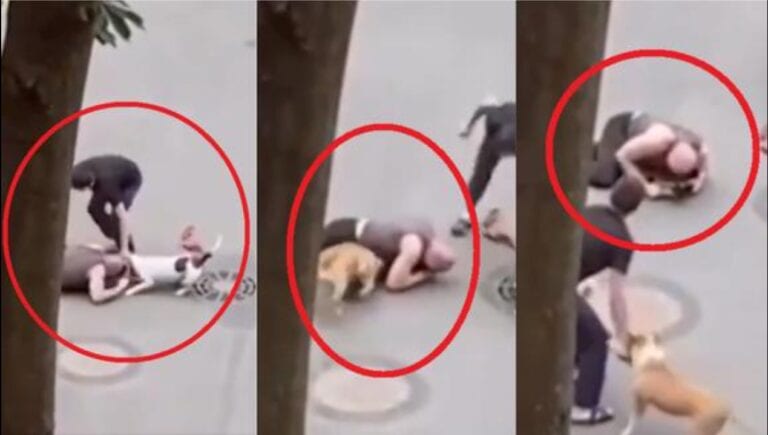 VIDEO: Con su cuerpo, hombre cubre a su ‘lomito’ del ataque de dos feroces perros