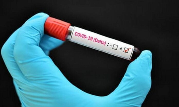 Alerta la OPS que en Quintana Roo y otros estado del país ya se han identificado contagios a partir de la variante Delta; ¡a cuidarse!