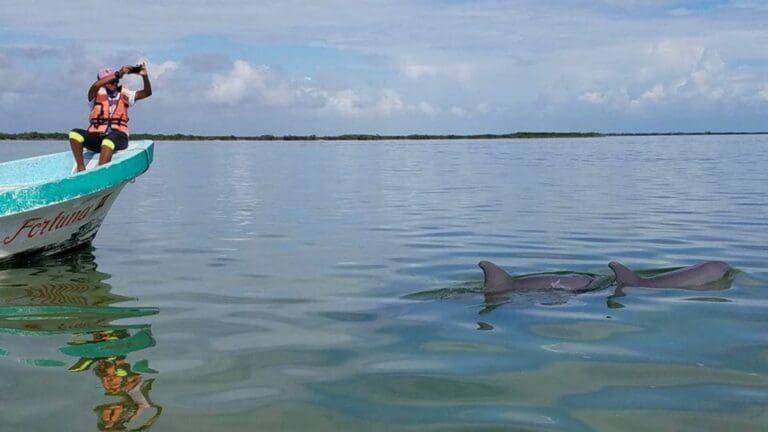 Presentan Proyectos de Comunidades Rurales; Abren Período de Recaudación de Fondos