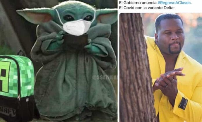 Estos son los mejores memes del Regreso a Clases Presenciales en México