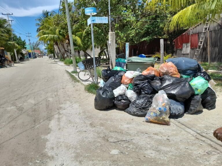 Servicio de recolecta de basura en Holbox no funciona al 100%