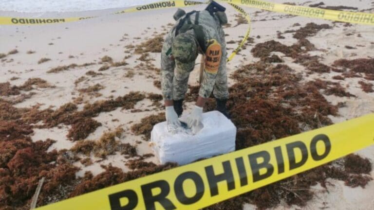 Recalan 30 paquetes de cocaína en Cozumel