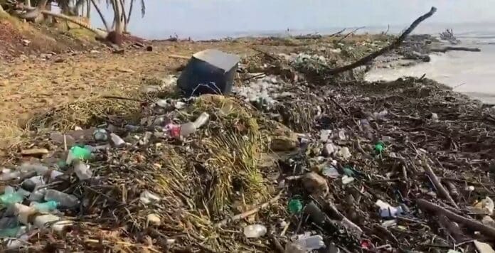 Mar devuelve toneladas de basura tras el paso del huracán Grace por Veracruz