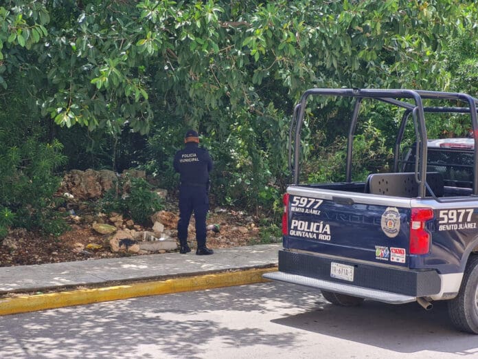 Hallan cabeza humana en fraccionamiento Cielo Nuevo de Cancún