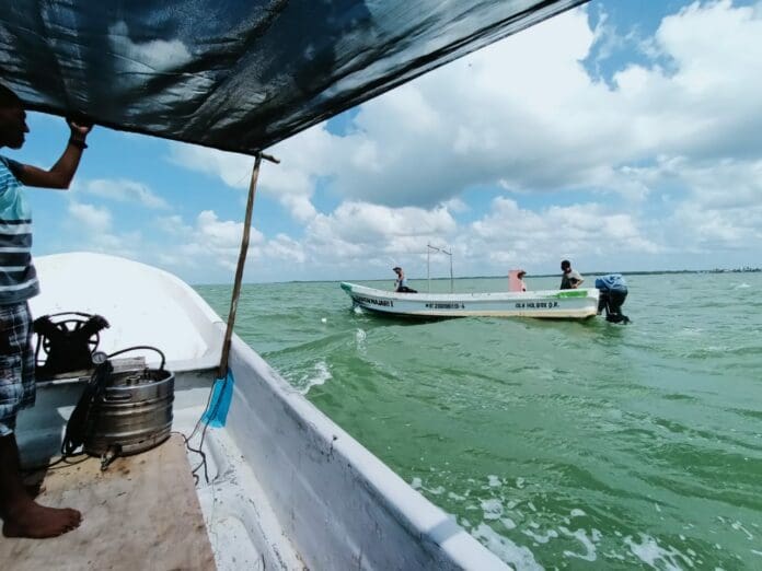 Estima CAPA concluir mañana con reparación de línea submarina en Holbox