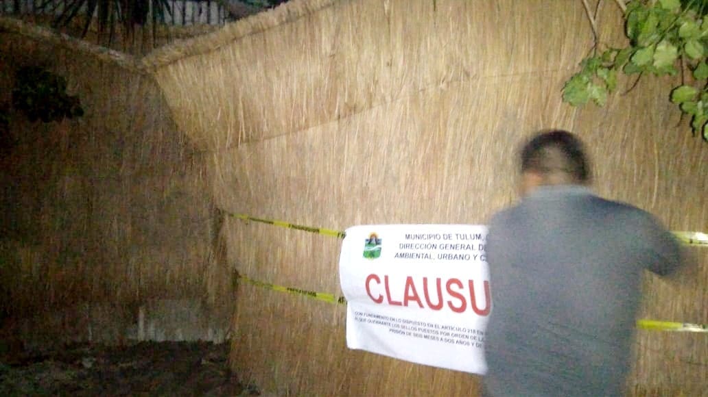 Clausuran predio por tala de mangle en Tulum durante paso de “Grace”