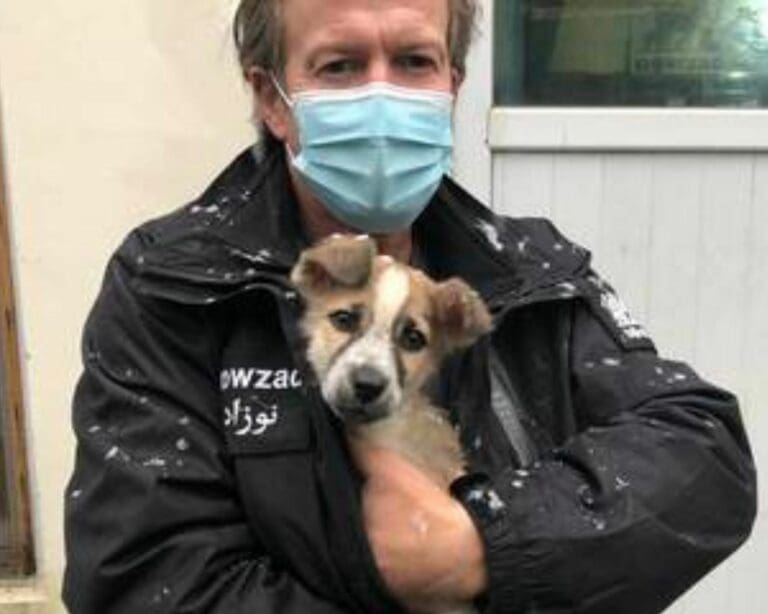 Rescatista de animales se niega a irse de Afganistán sin los perritos que cuida