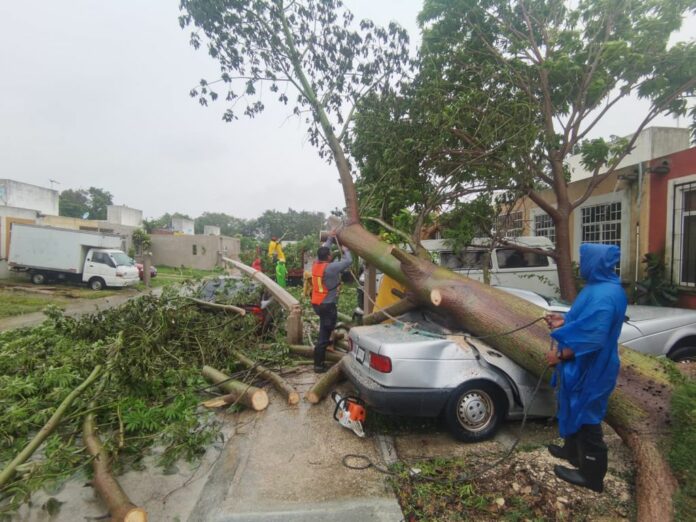 Saldo blanco en Puerto Morelos tras el paso de Grace