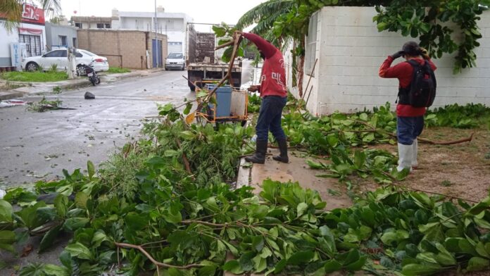 SOLO DAÑOS MATERIALES: Playa del Carmen con saldo blanco tras paso de huracán Grace