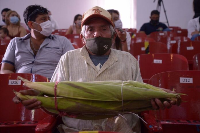 Récord: agricultor mexicano sembró el elote más grande del mundo