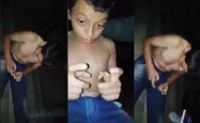 Niño juega dormido Free Fire y se vuelve viral