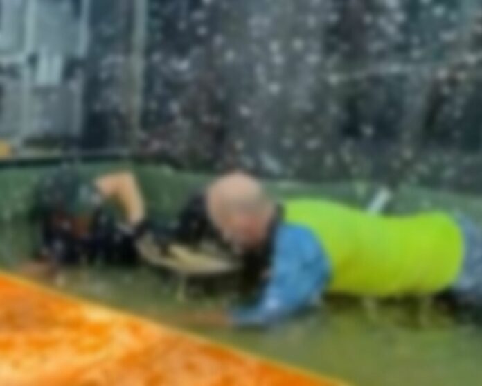 Caimán ataca salvajemente a entrenadora en plena presentación