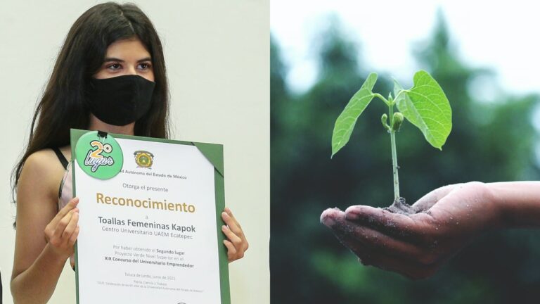 Estudiante crea toalla femenina biodegradable a base del árbol de ceiba o kapok