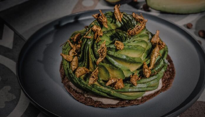 Grupo Anderson's apuesta por Tulum: abrirá restaurantes Macario y Nicoletta