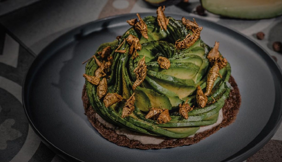 Grupo Anderson's apuesta por Tulum: abrirá restaurantes Macario y Nicoletta