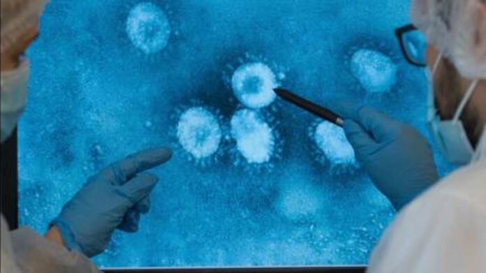 Virus gigantes yacen en el fondo del mar