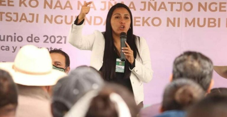 El Tribunal Electoral decidió quitarle una diputación al Partido Verde luego que la candidata usara influencers para promoverse