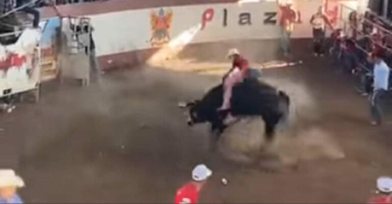 Un toro derribó las cercas que lo separaban de la gente durante un jaripeo; varias personas resultaron lesionadas; todo quedó grabado