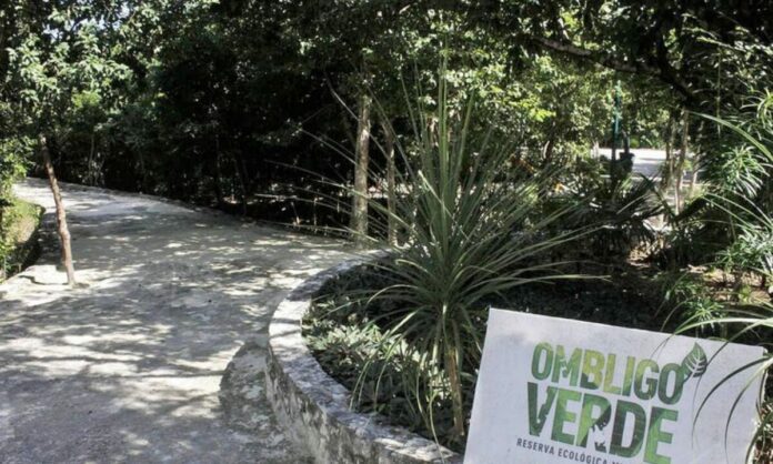 Parque Urbano en la reserva Ombligo Verde de Cancún