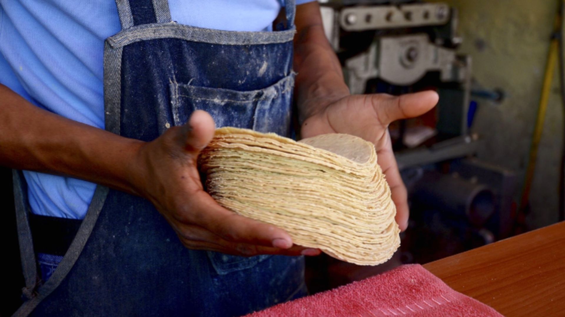 ¡ATENCIÓN! Microsoft apoyará a la digitalización de Pymes mexicanas