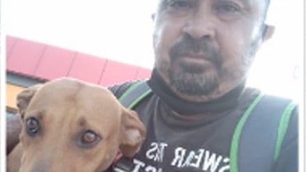 Una perrita muerde a un hombre y este le paga con amor, ahora son inseparables