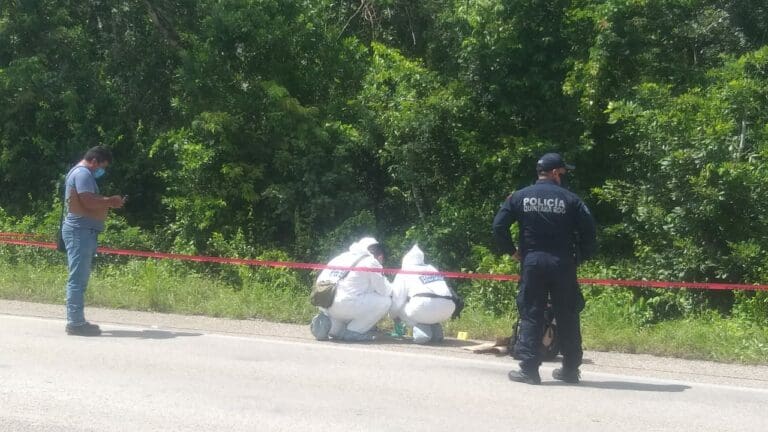 Hallan cadáver junto a carretera Cancún-Leona Vicario