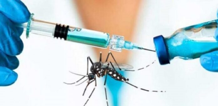 Investigadores del IPN, con la colaboración de la Universidad de Oxford y la Universidad de Texas, concluyeron con éxito las pruebas en humanos de una vacuna contra una infección viral transmitida por el mosquito Aedes, conocida como Fiebre de Chikungunya.