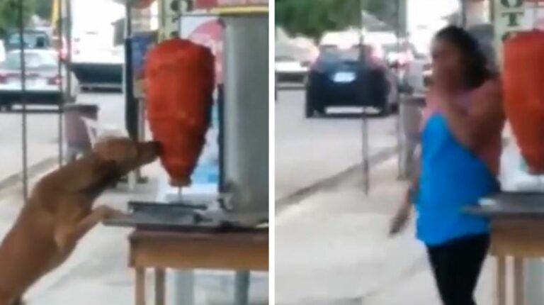 Captan a firulais en taquería mordiendo un trompo con carne y nadie se da cuenta