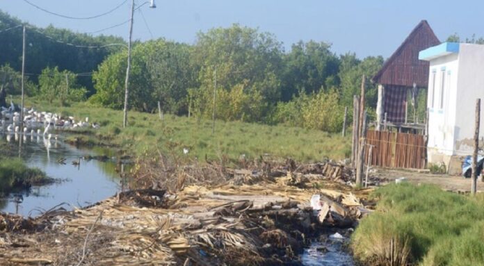 ECOCIDIO EN HOLBOX: Rellenan humedal para hacer cuartería