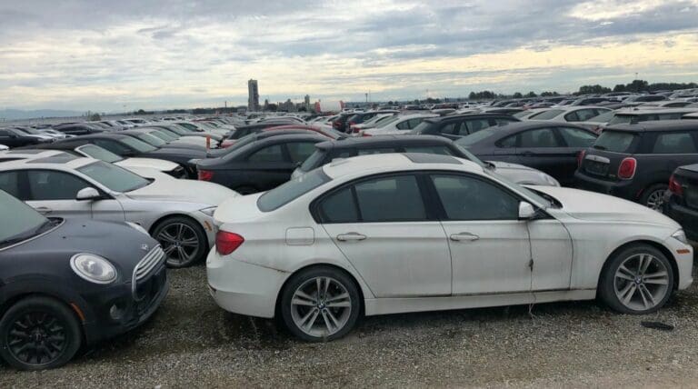 Más de 3 mil autos BMW completamente nuevos están abandonados al aire libre