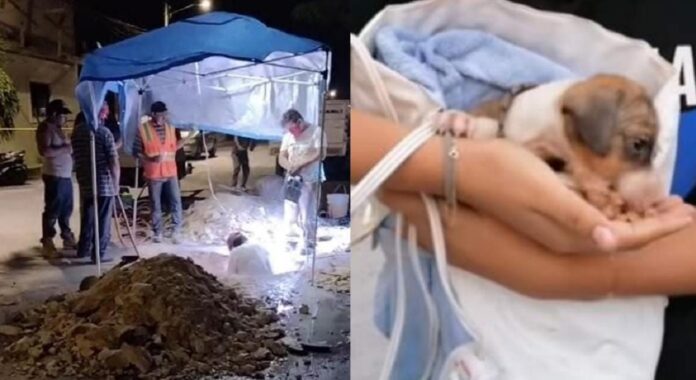 Tras horas de labores rescatan a 