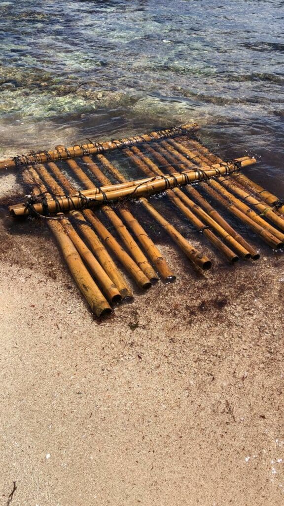 Masacran tiburones en Akumal