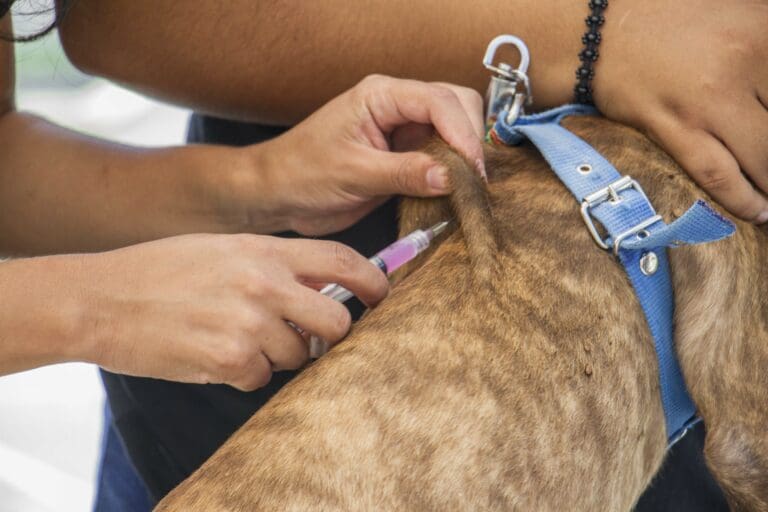 Fortalece gobierno de Puerto Morelos acciones en favor de la salud pública