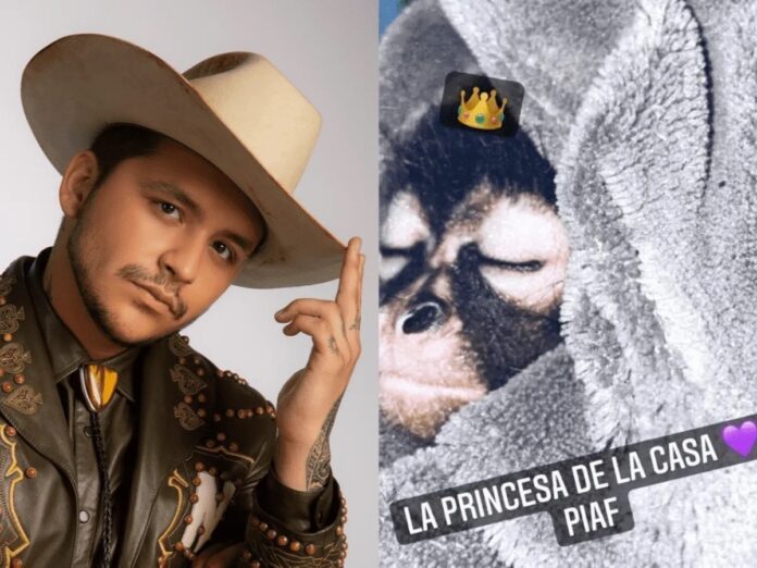 Tunden a Christian Nodal por presumir su mono araña en redes sociales