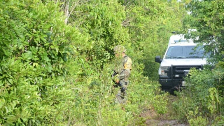 Encuentran 14 FOSAS CLANDESTINAS en estos municipios de la Península de Yucatán