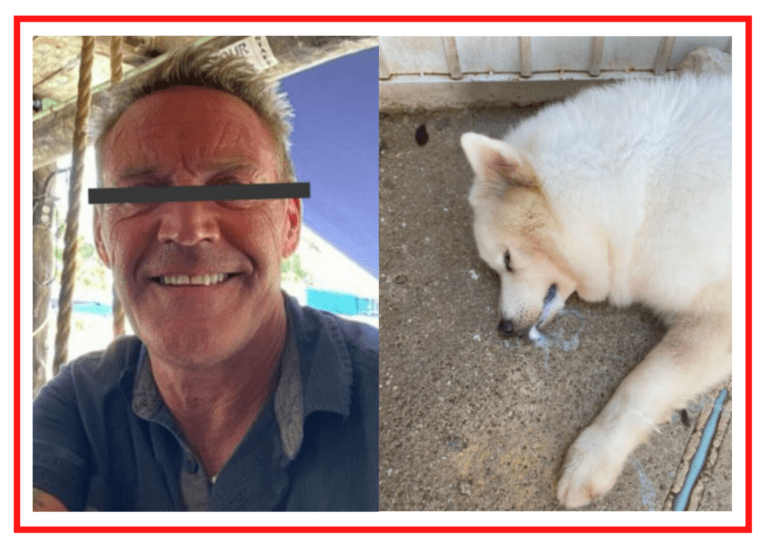 ‘Mataperros de Playa del Carmen’ ya había sido denunciado antes de su último delito