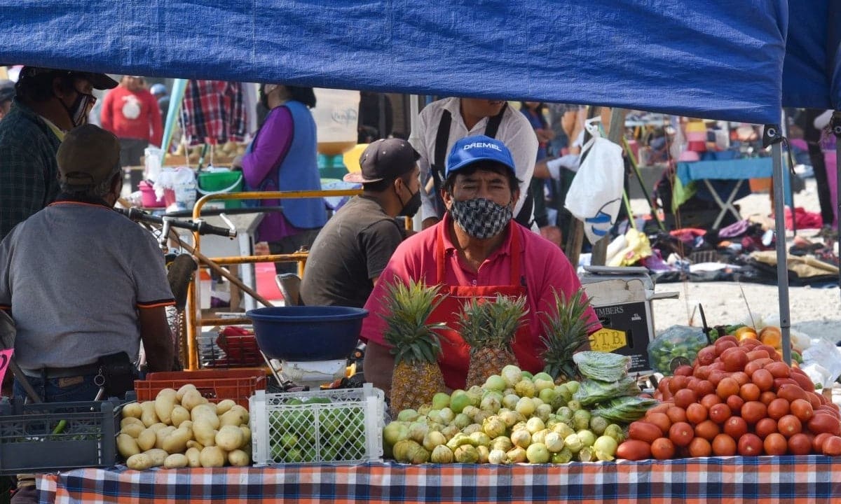 Senadora de Morena propone prohibir comercio informal, habría multa para ambulantes