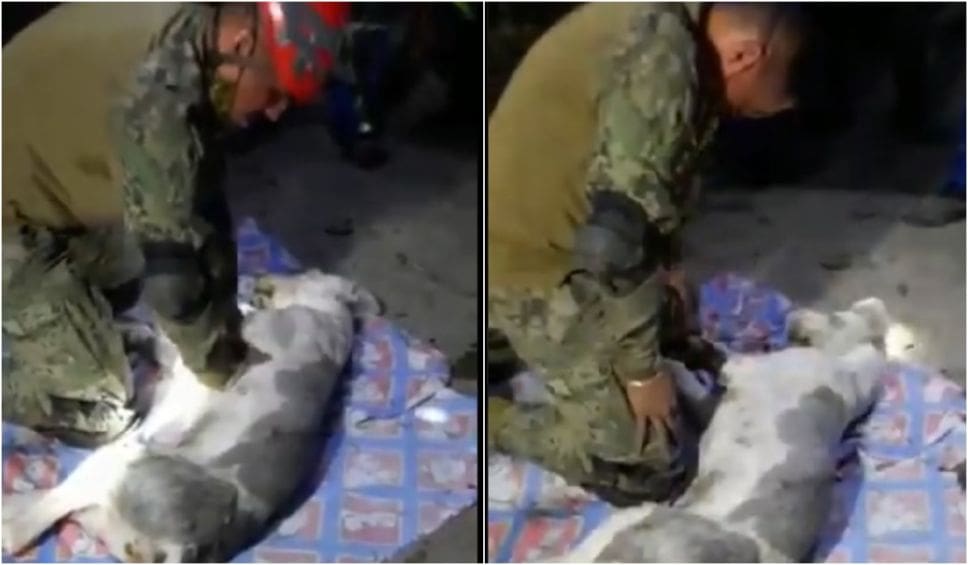 VIDEO: ¡Conmovedor! Marino llora al no poder reanimar a perrito en deslave del Chiquihuite