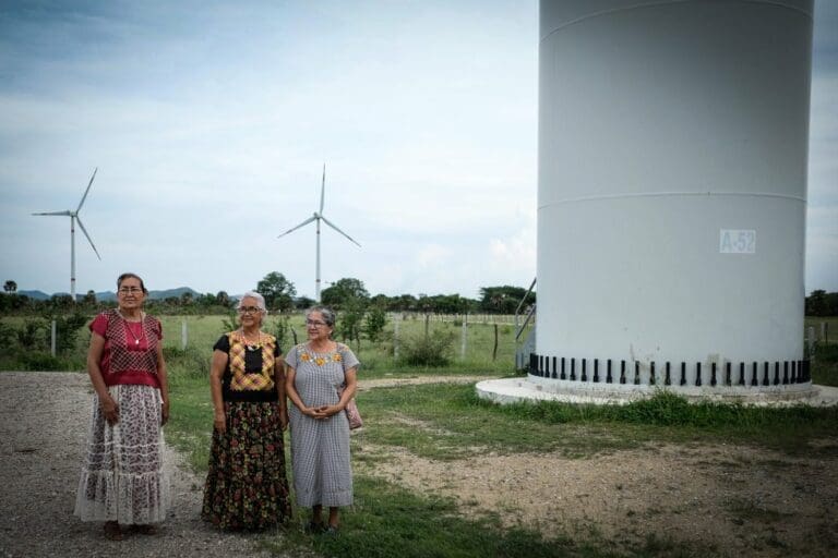 Activista mexicana de 70 años lucha contra empresas eólicas internacionales