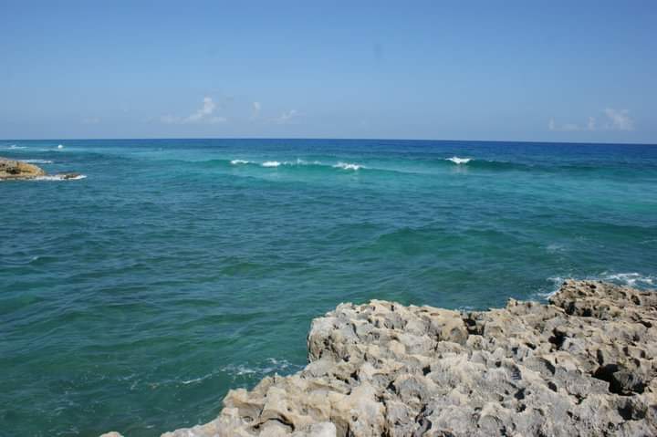 Permisionarios de La Caleta de Cozumel están listos para ‘enfrentar’ a la autoridad