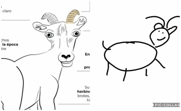 Le 'llueven criticas a la Profepa' por ilustración del borrego cimarrón