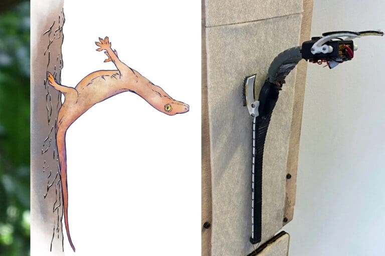 VIDEO: Increíble y preciso movimiento del gecko, inspiran para diseñar robots