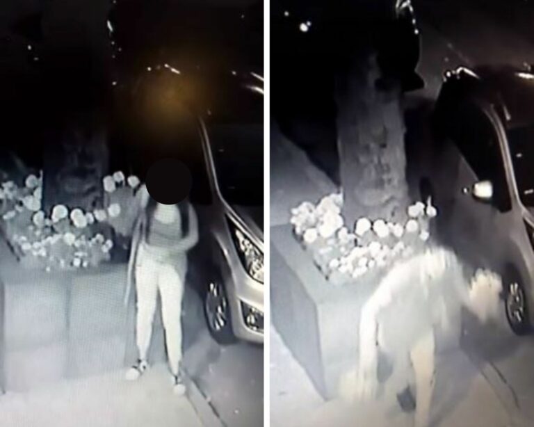 VIDEO: Capta tiktoker a vecinos robando sus flores de cempasúchil