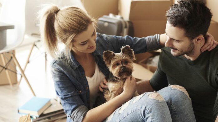 Primera sentencia sobre la custodia compartida de un perro