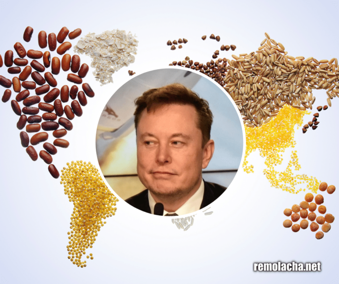 Elon Musk hambre