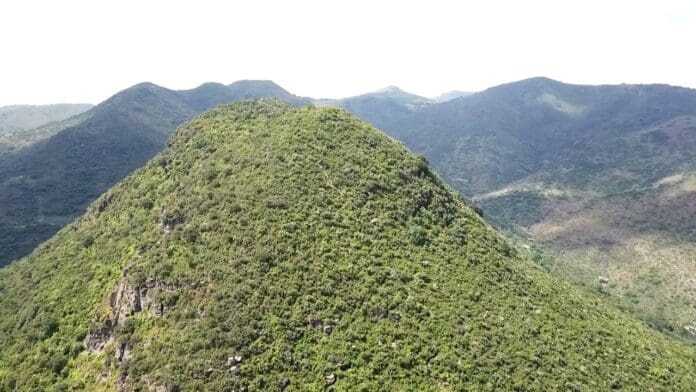 Ecatepec: declaran la Barranca del Ehécatl como área natural protegida