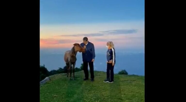 VIDEO: ‘¿Caminamos juntos?’ Nicolás Maduro se pone a hablar con un caballo y desata memes