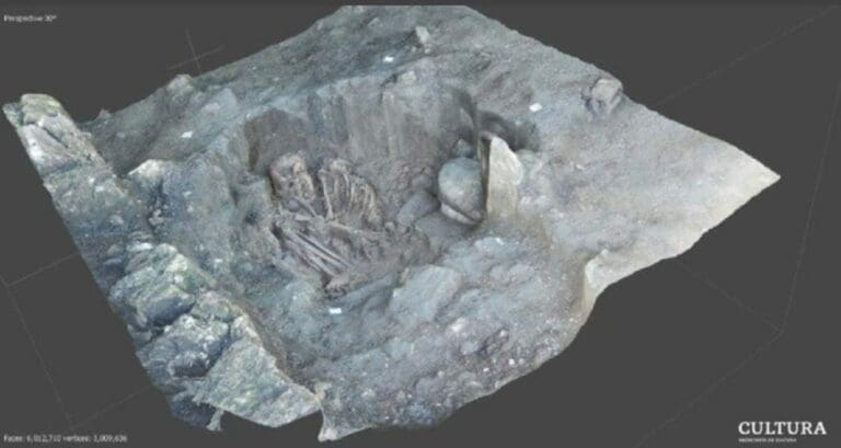 Casi 2 mil 500 restos arqueológicos han sido hallados en los trabajos del Tren Maya, solo en un tramo. Son importantes descubrimientos