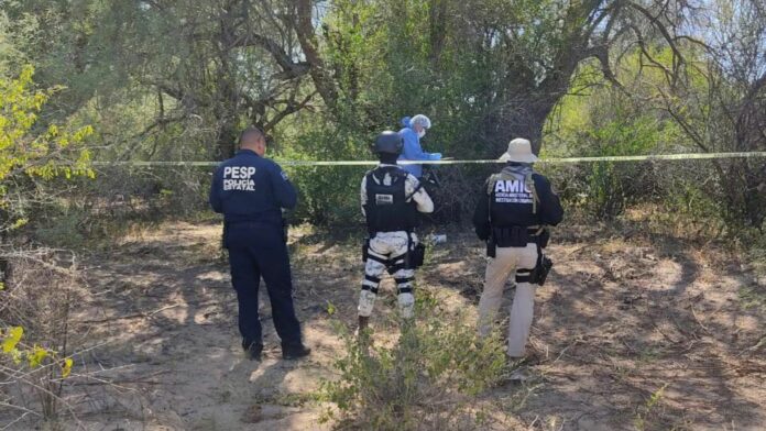 Encuentran restos de tres personas en terrenos de una antigua hacienda de Sonora