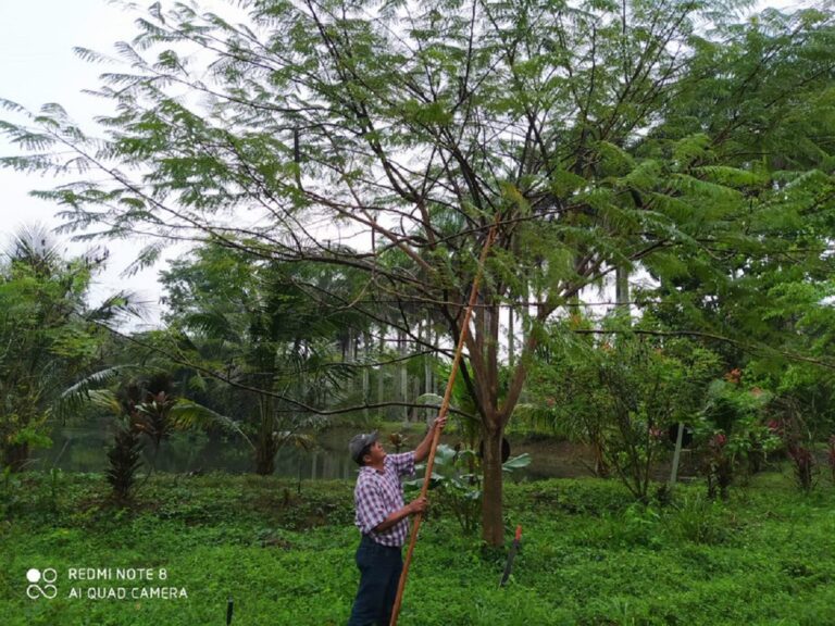Galardonan con “Los Bóscares” las mejores prácticas empresariales en favor de los bosques